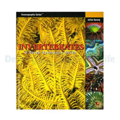 Invertebrates: A Quick Reference Guide