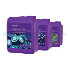 Component 1+, 2+, 3+  3x5l