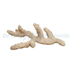 Branch Nature 20 cm | S