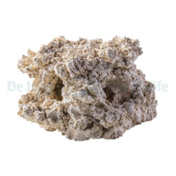 Cave 2 Holes 10 cm | S