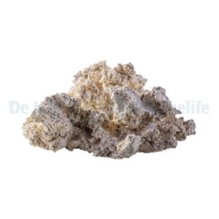 Back Plane Puzzle 20cm | S