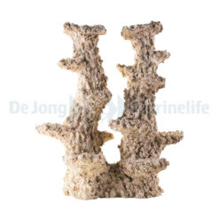 Colum Wide 2 Branches - 50 cm | L