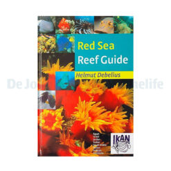 Red Sea Reef Guide