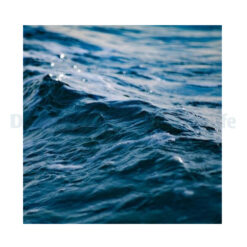 Seawater made from DJM Finest Salt p/ltr