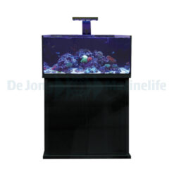 Mtr. hose PVC transparent 8 x 12 p/mtr | S