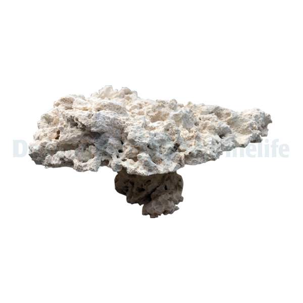 Marcorock - Pedestal Rock (natural top)