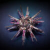Eucidaris tribuloides | All sizes