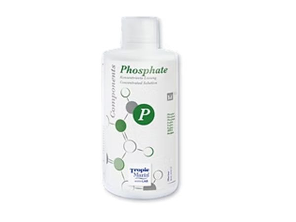 Components Phosphate - 500ml Bottle