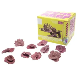 Real Reef Mini Plate Corals - 10pcs