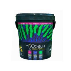 H2Ocean Dosing Formula Reef Salt | XL