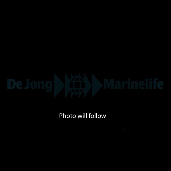 Amphiprion clarkii (Yellow) - DJM Bred | All sizes