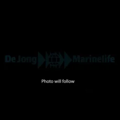 Discosoma spp. (Special Selected) (Ultra) | L