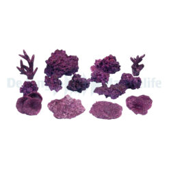 Real Reef Ready - Mix Small box