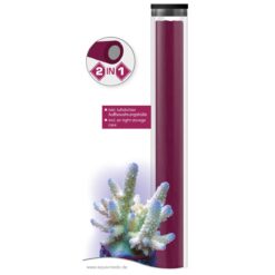 Reef Construct purple (2-in-1 stick 114 g)