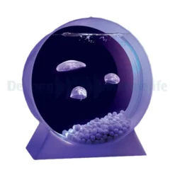 Jelly fish aquarium colour